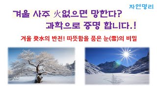 겨울 사주 火없으면 망한다? 과학으로 증명합니다.