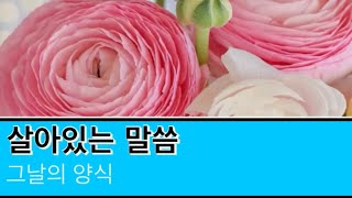 그날의 양식 : 살아있는 말씀