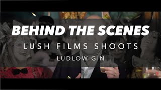 Ludlow Gin - BTS