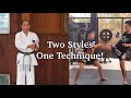 Two styles one technique! EMPI kata.@davidskaratetips.7306