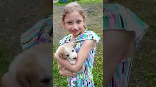 Alena and cute puppies