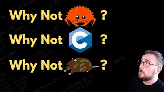 Why Zig over Rust, C, C++, Odin, Nim, etc?