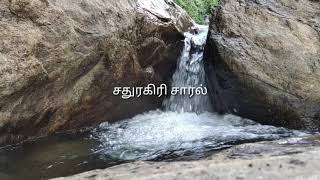 Sathuragiri Herbal Forest | சதுரகிரி மூலிகை வனம் ⛰️