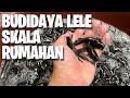 Budidaya IKAN LELE Skala Rumahan | Kolam 1 Meter Kubik