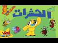 الحشرات للأطفال 🐞🦋 | آدم ومشمش