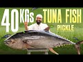 40 KGs Tuna Fish Pickle | Tuna Fish Cutting And Cooking | Non Veg Pickles Recipes | Nawab's Kitchen