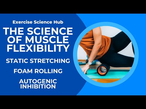 What organ causes autogenic inhibition while performing self myofascial release?