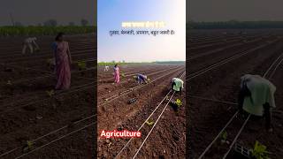 Agriculture में अगर सफल होना है तो | #motivation #agriculture #farming #farmlife