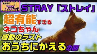 ゲーム実況　STRAY「ストレイ」有能でかわいい猫ちゃん。感動のラスト　地上への脱出　おうちにかえりましょ　PS4版※テスト動画