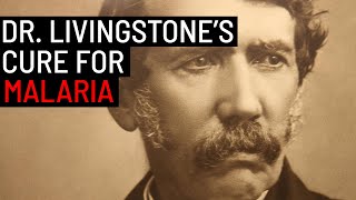 How Dr. David Livingstone developed a cure for malaria