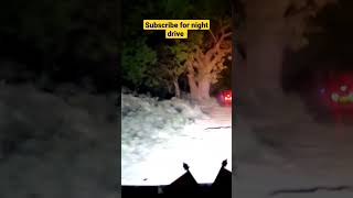 night drive in dhungari gate #shorts #nightdrive #trendingshorts #jungle