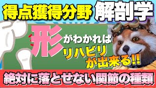 【解剖】関節の形は１点問題で出やすいから覚えましょう【PT・OT国家試験】