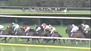 【ホエールキャプチャ】完璧なレース運びでGI 初勝利！第7回_ヴィクトリアマイル