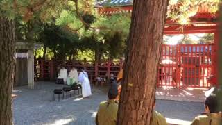 住吉大社  摂社若宮八幡宮  湯立神楽