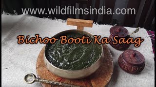 Bichoo Booti Ka Saag | Learn how to make authentic Garhwali cuisine