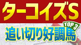 【ターコイズステークス】最終追い切り・調教内容が高評価だった「トップ３」はこの馬だ🐴【ターコイズS2021予想】