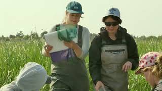 Marsh restoration projects in the Lower Fraser River; No.2 Road