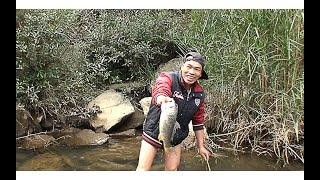 農村小夥帶鸕鶿去河裏抓魚，小梁下河撈到大魚，老羅岸上樂開花