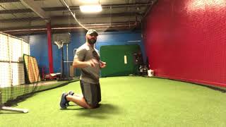 Quadruped Bent Knee Hip Extension on Elbows