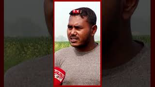 কুষ্টিয়া সীমান্তে কৃষি জমি ফেরত দিচ্ছে ভারত | Kushtia-Daulatpur Border | Land Recover From BSF | BGB