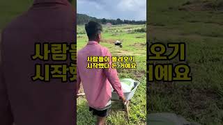 6000만원 주고 산 땅보러 왔다가 충격받았습니다