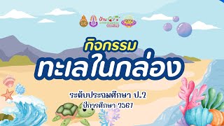 กิจกรรมทะเลในกล่อง ป.2  บ้านนักวิทยาศาสตร์น้อย ปีการศึกษา 2567 โรงเรียนบ้านนามั่ง