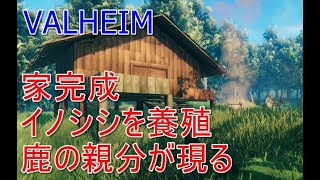 【Valheim】家完成、イノシシ飼育、ボス登場！【実況#3】