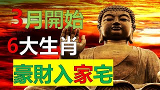 2023年12生肖运势，十二生肖財庫爆滿，大財小財紛紛湧進家門（鼠、龍、猴、兔）生肖得富貴享榮華，未來的財運一波接一波地出現（牛、蛇、雞、豬）天降富貴，家中掉下個聚寶盆，招財進寶（虎、馬、狗、羊）