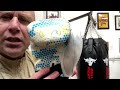 oleksandr usyk rival special edition boxing gloves