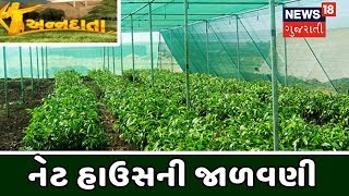 દક્ષિણ ગુજરાતમાં નેટ હાઉસ, ગ્રીન હાઉસનો ઉપયોગ | ANNADATA | July 13, 2019