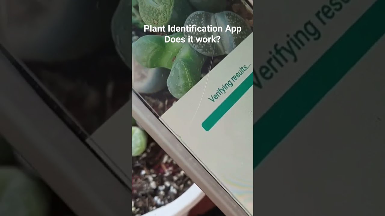 Plant Identification App does it work?