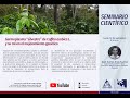 Seminario Científico. Germoplasma silvestre de Coffea arabica