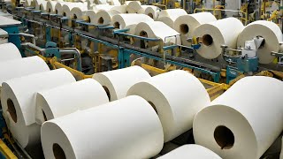 How Toilet Paper Is Made | The Hygienic Journey