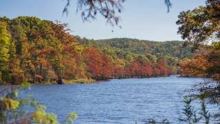 What's Around the Beavers Bend? Vibrant Fall Foliage.
