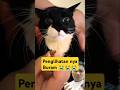 Sehat selalu ya Mpus #kucing #kucingmenangis #kucinglucu #hewankucing #cat #tentangkucing