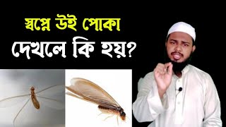 স্বপ্নে উই পোকা দেখলে কি হয় জানেন? | স্বপ্নের তাবির | শায়েখ মুহিব্বুল্লাহ 01710122418