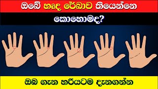 ඔබේ හෘද රේඛාව ඔබ ගැන පවසන දේ | What Your Heart Line Says About You