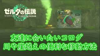 川や崖越えに便利な友達に会いたいコログの運び方 【ティアキン小技】