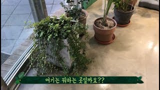 서울로 밑에 이런 집이??