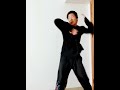 心意拳肘法xinyi martial arts elbow hits chinese kungfu maritalarts sports