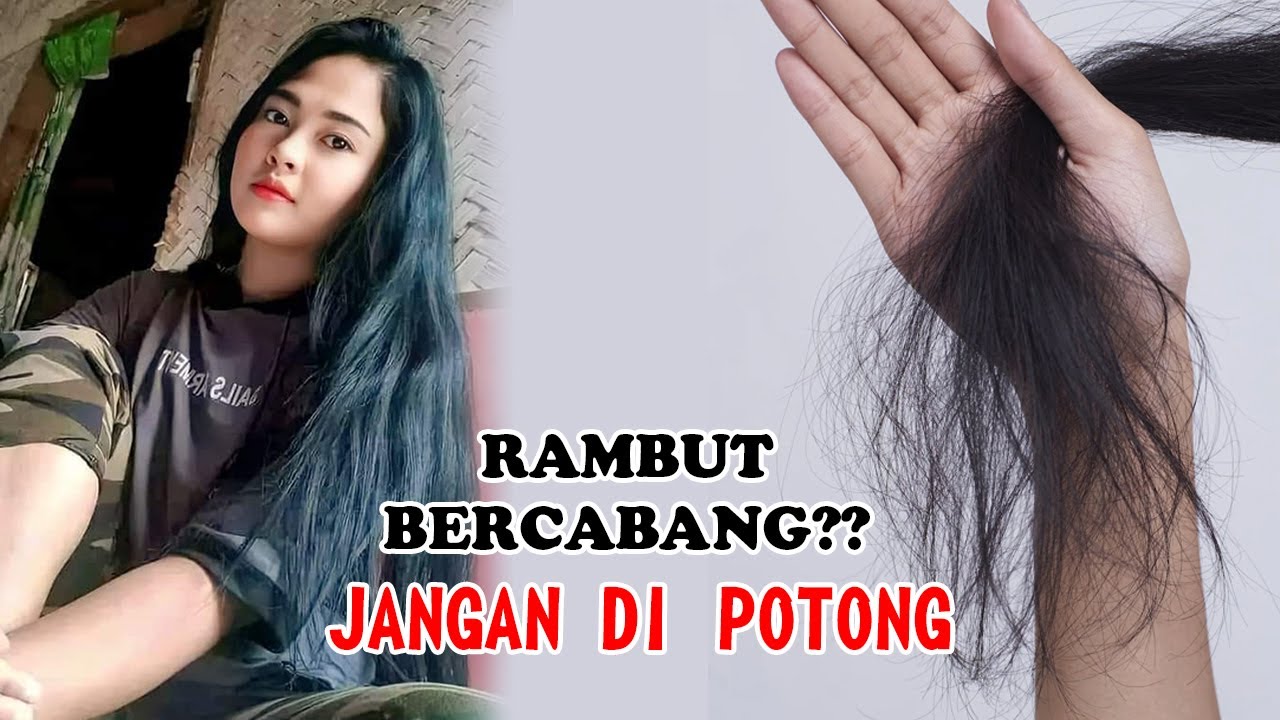 LUAR BIASA! Cara Mengatasi Rambut Bercabang Tanpa Dipotong - YouTube