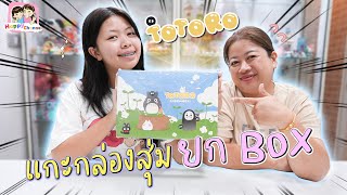 แกะ totoro ยกbox น่ารักทุกจุ่ม Happy Channel