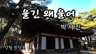 박서진 #울긴 왜 울어 (영월 청령포)