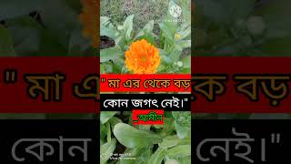 মা এর থেকে বড় কোনো জগৎ নেই।#youtube #shorts