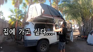 Mexico Ep 7: 솔로여행중 현타가 왔습니다 ㅠ 그리고 때맞춰온 손님!