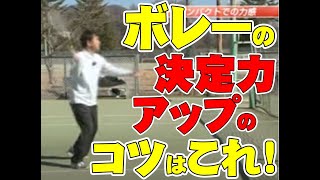 新井流フルスイングテニス塾 ～スピード×決定力がアップする フォアボレー・バックボレー～Disc1