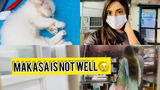 Makasa ki Tabiyat Kharab Ho Gayi 😭 | My Cat is not well | SAMREEN ALI VLOGS