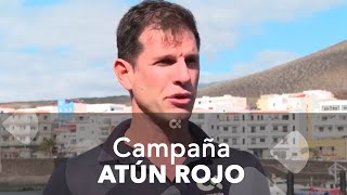 La campaña de atún rojo para los buques canarios comienza este lunes