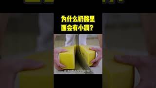 为什么奶酪里面会有小洞？它们是如何形成的？ #涨知识 #科普 #shorts