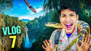 JUNGLE VLOG - Rahul Singha Vlogs